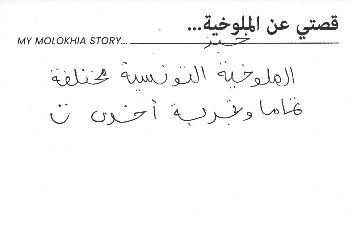 molokhia-stories 005