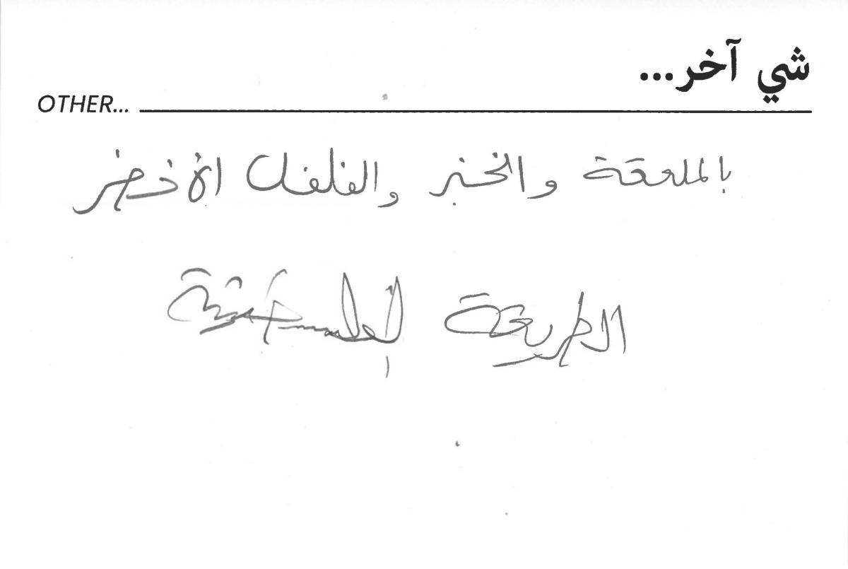 molokhia-stories 008