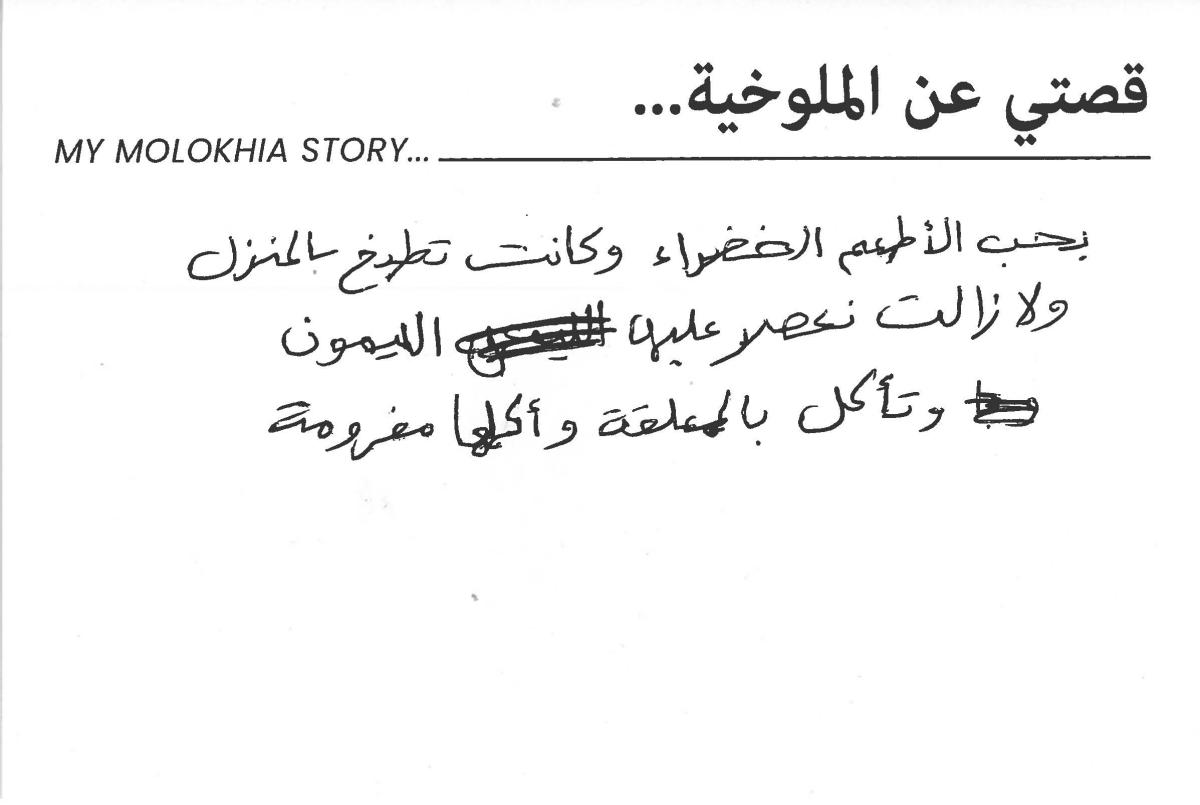 molokhia-stories 011