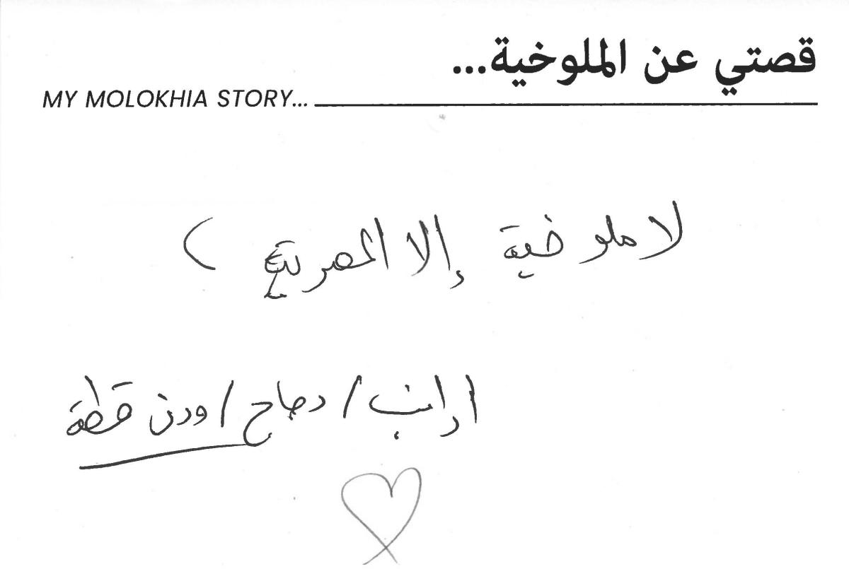 molokhia-stories 015