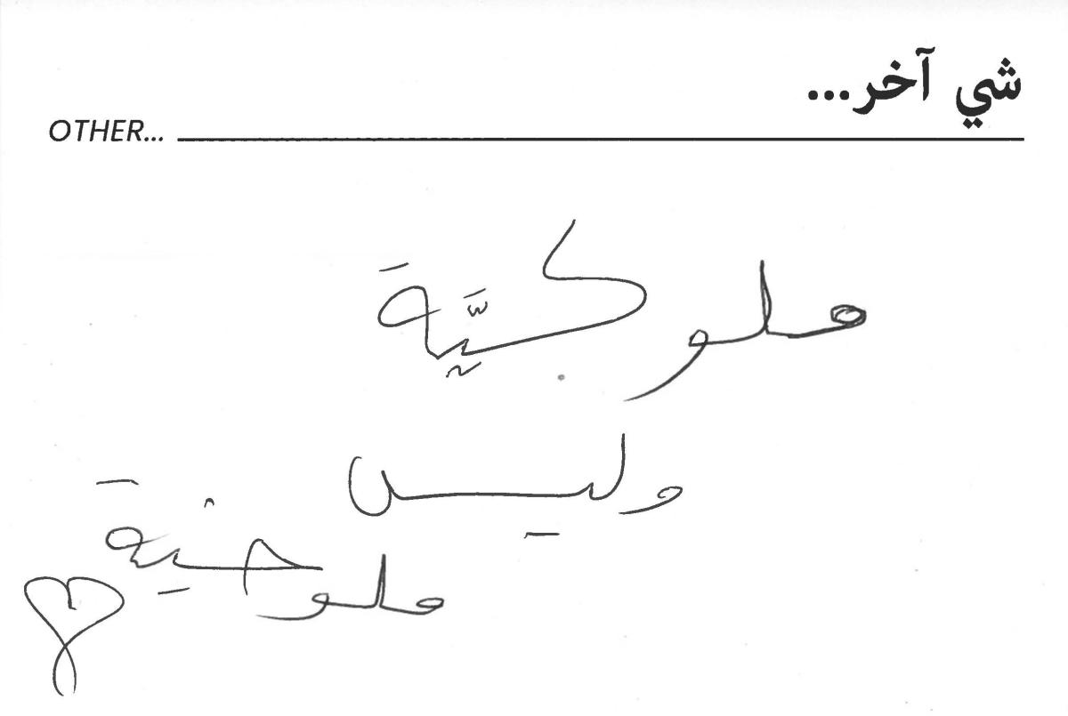 molokhia-stories 016