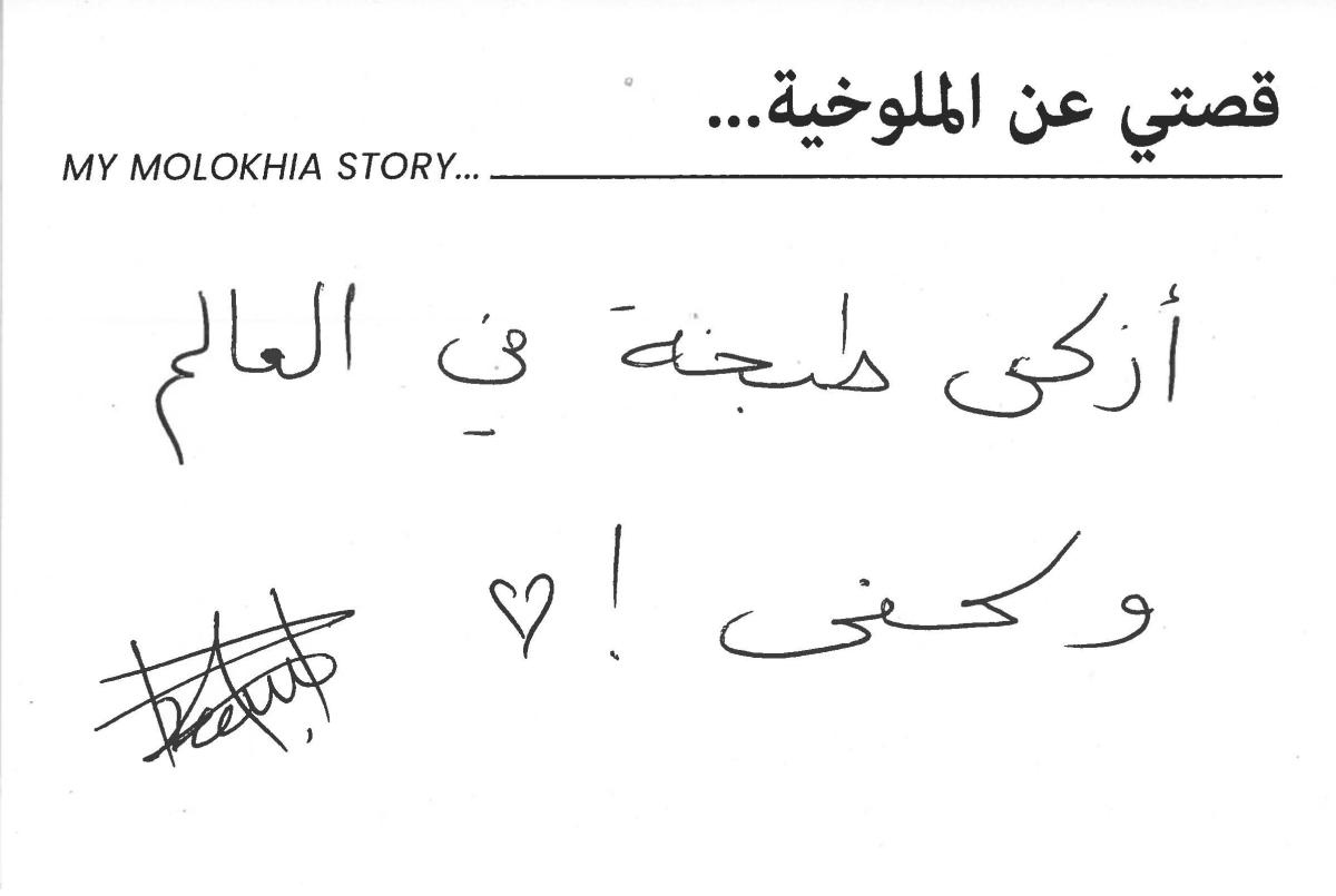 molokhia-stories 021