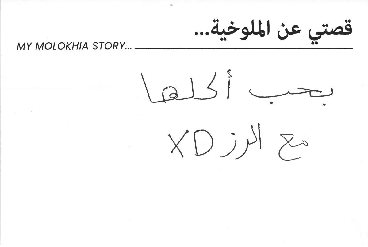 molokhia-stories 030