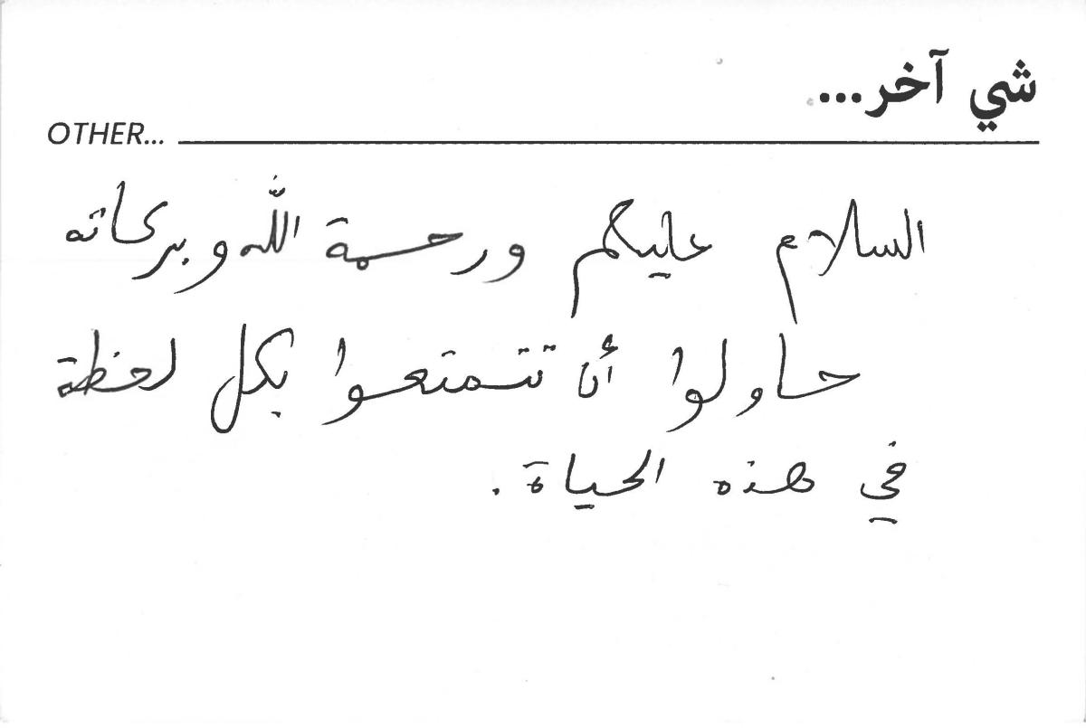 molokhia-stories 041