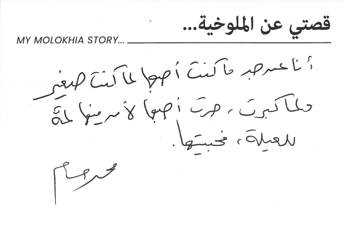 molokhia-stories 049
