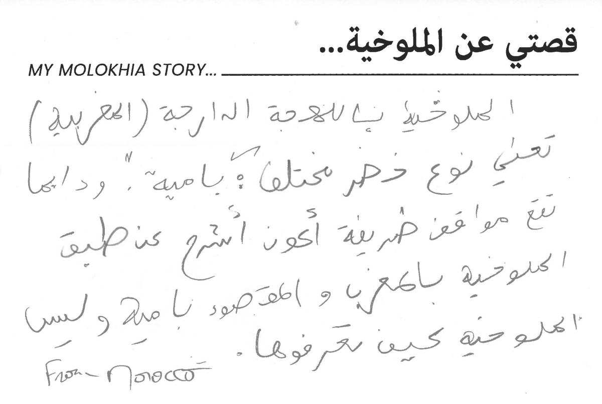 molokhia-stories 076