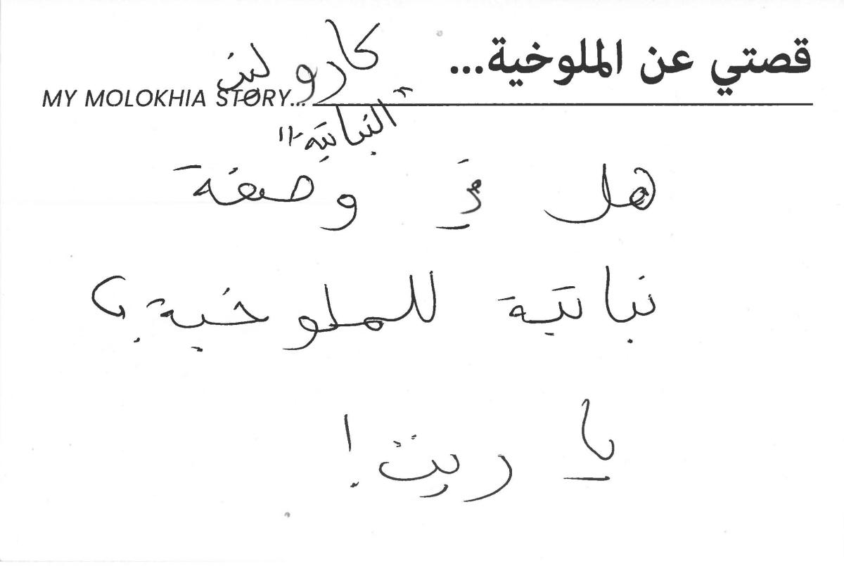 molokhia-stories 082